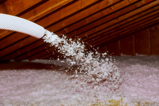 Best Insulation Inspection Services  in Arthurtown, SC