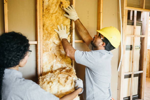 Best Home Insulation Services  in Arthurtown, SC