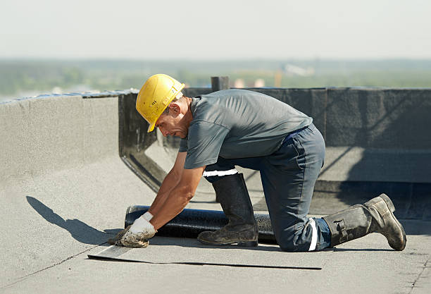 Best Insulation Contractor Near Me  in Arthurtown, SC